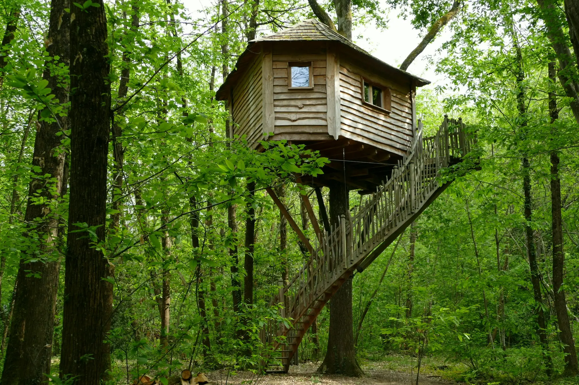 Wooden treehouse with a walkway, high among forest trees