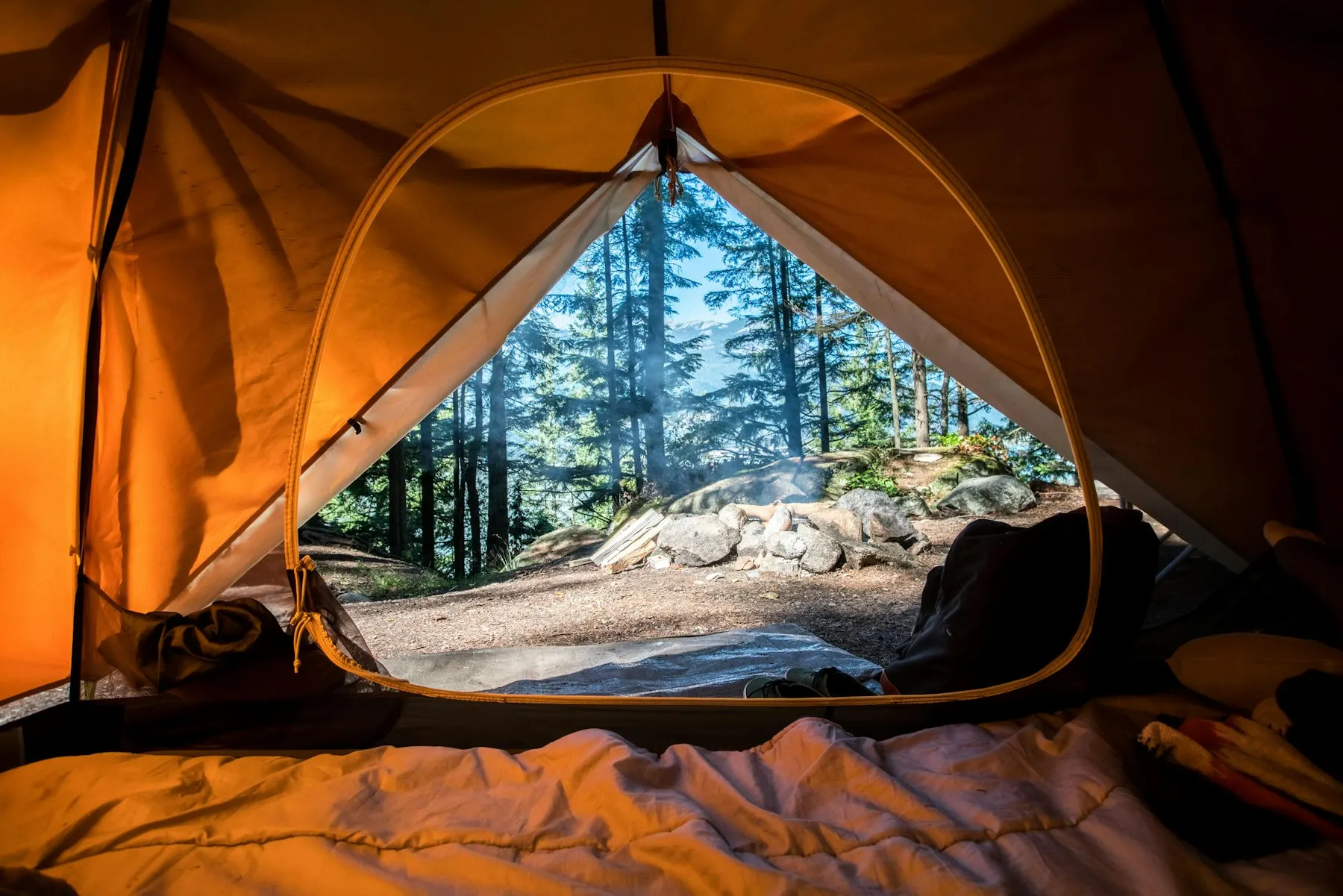 Cosy interior of a tent opening onto a forest at dusk